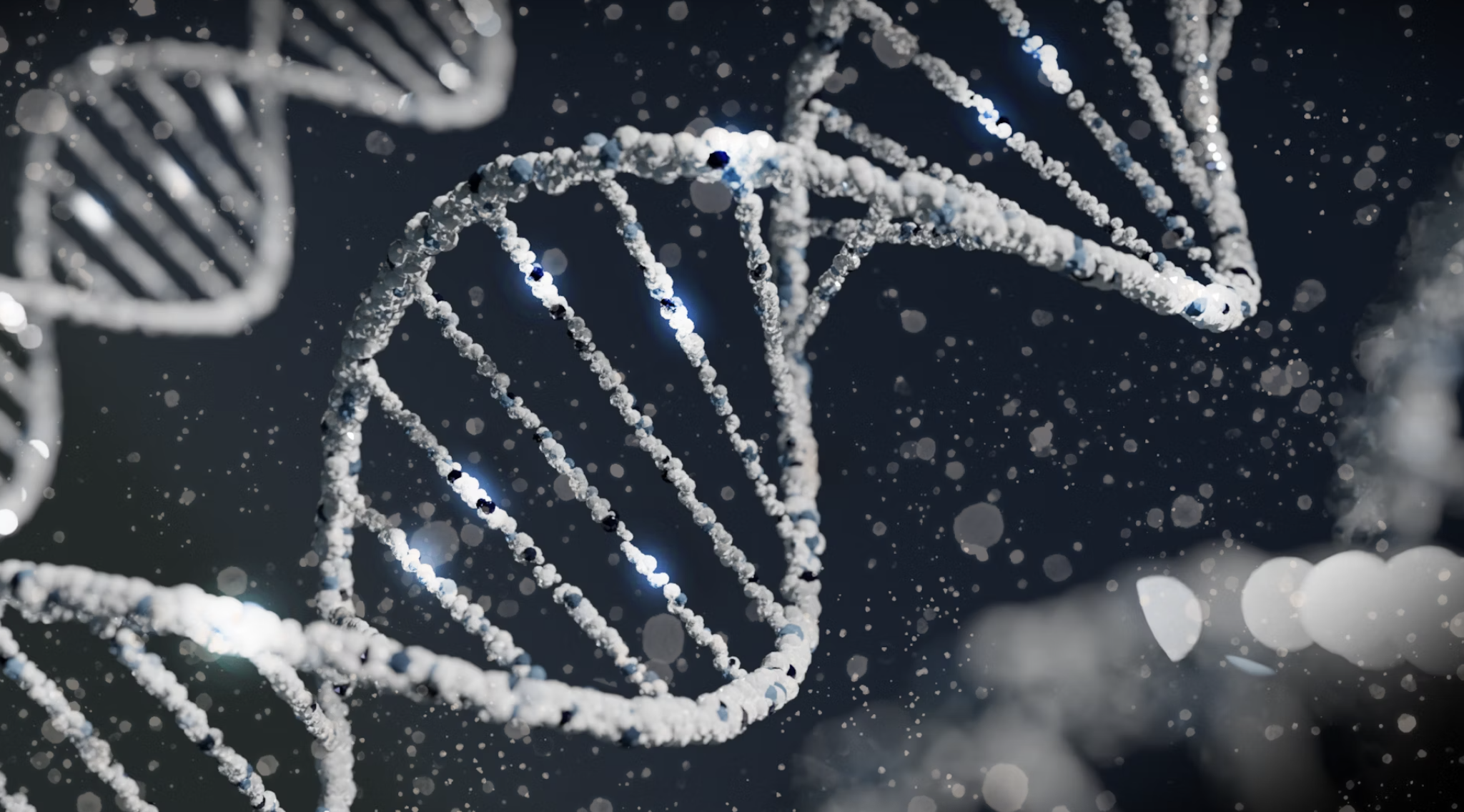 AI-Powered Genetic Variant Detection for Agricultural Research